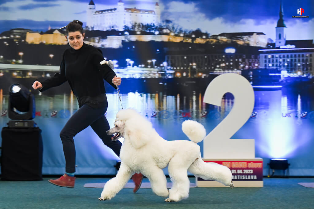 Estelitka Spring Danube Dog Show, 1.-2.4.2023