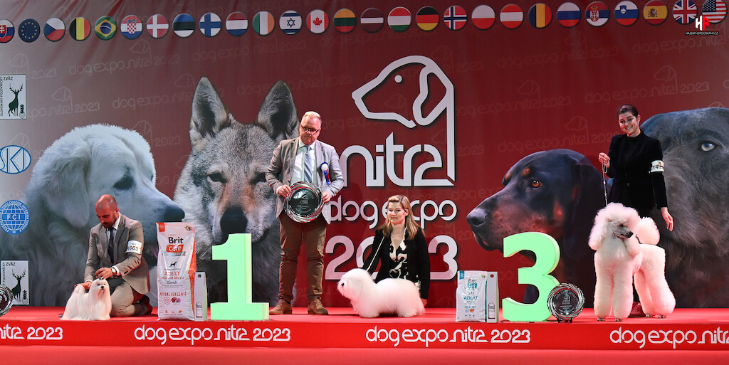 DOG EXPO Nitra 2023