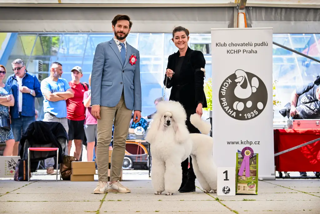 Klubová výstava KCHP Olomouc, CZ 
4.5.2024